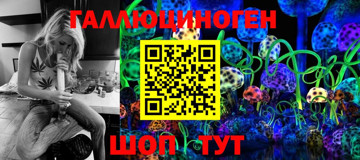 Псилоцибиновые грибы прущие грибы  наркотики  Острогожск  Вход с VPN 